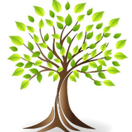 Photo du profil de l'utilisateur